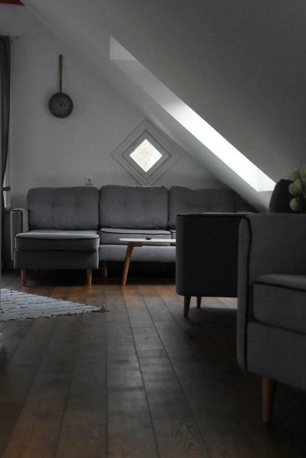 Suur-Sepa Apartement パルヌ エクステリア 写真